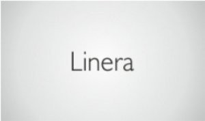 Cam Korkuluk Sistemi - Linera